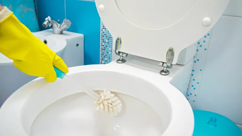 extrem verkalkte toilette reinigen mit hausmitteln