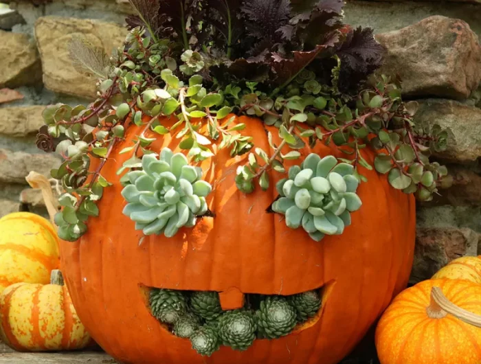 halloween kürbisse wieder verwenden in pflanzgefäß verwandeln