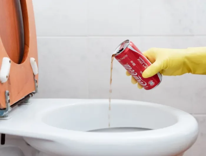 haushalt tipps und tricks mit cola toilette entkalken tipps