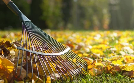 herbstlaub entsorgen anleitung blaetter sammeln