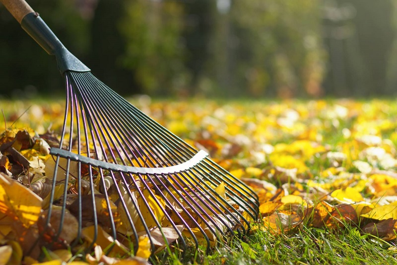 herbstlaub entsorgen anleitung blaetter sammeln