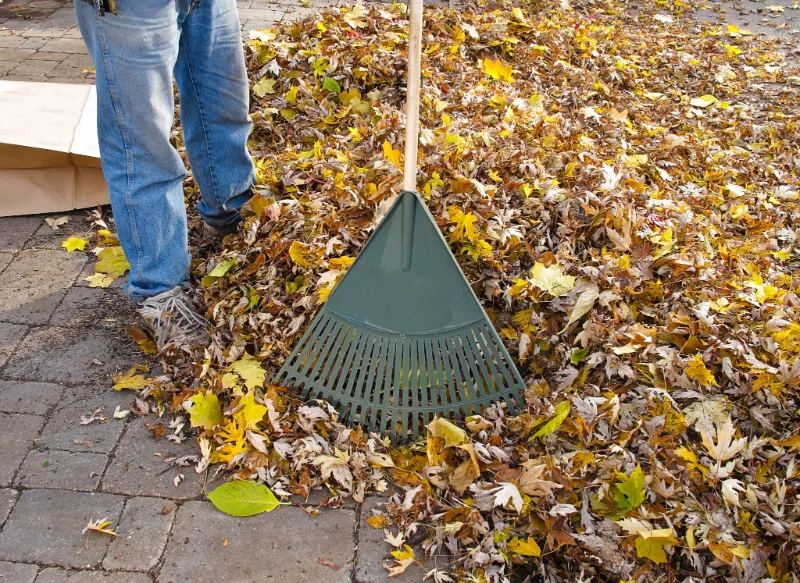 herbstlaub sinnvoll nutzen kompostieren