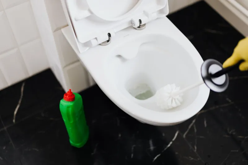 kann man mit essigessenz toilette entkalken tipps infos