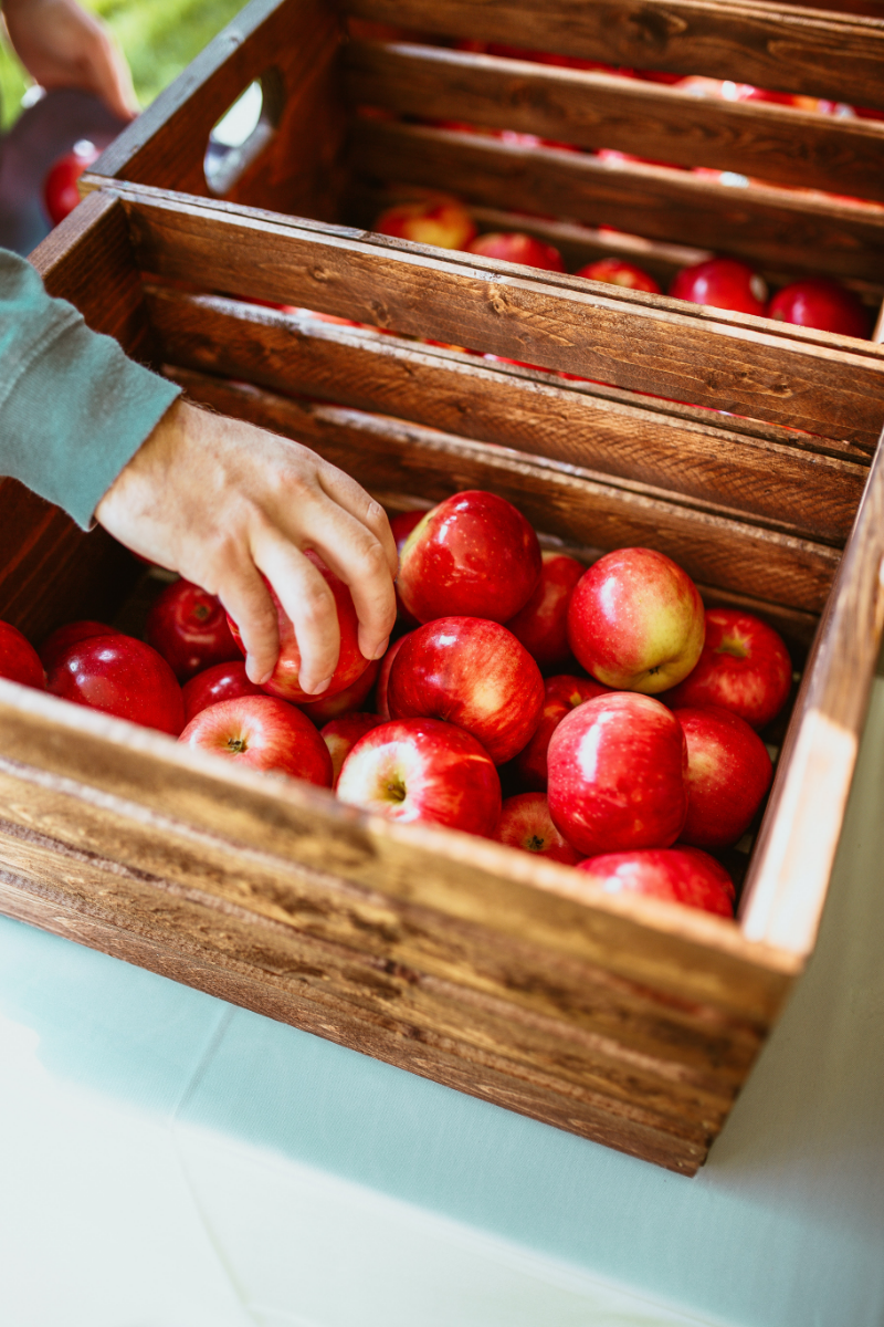 kitchen tipps und hacks wie bleiben aepfel frisch