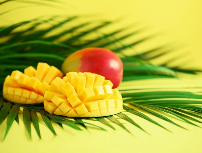 mango pflanzen wie sieht eine reife mangofrucht aus