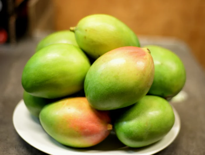 mango selber ziehen aus kern mangokern einpflanzen anleitung