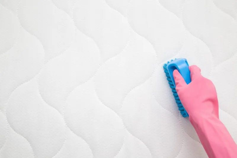 matratze sauber machen mit rasierschaum reinigung tipps und tricks
