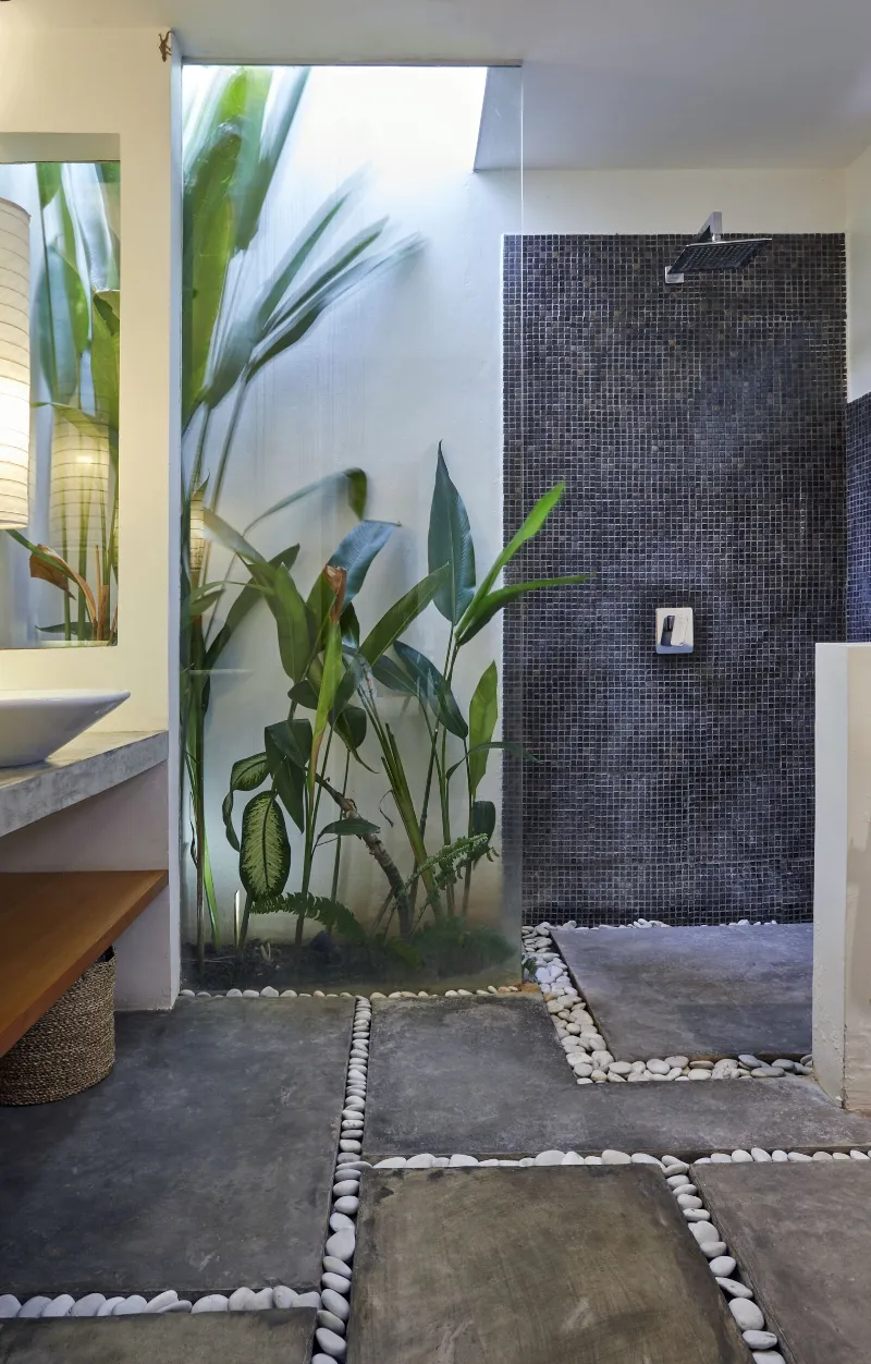 pflanzen im badezimmer platzieren und kleines bad renovieren