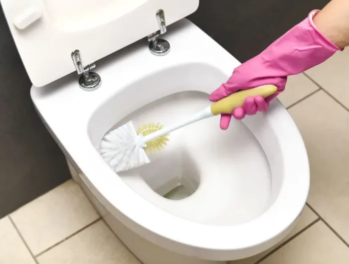 tipps und tricks wc entkalken mit hausmitteln einfach