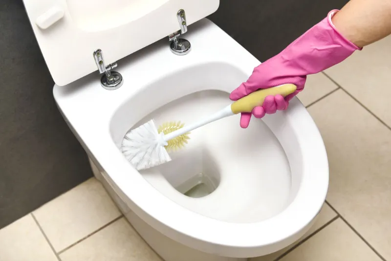 tipps und tricks wc entkalken mit hausmitteln einfach