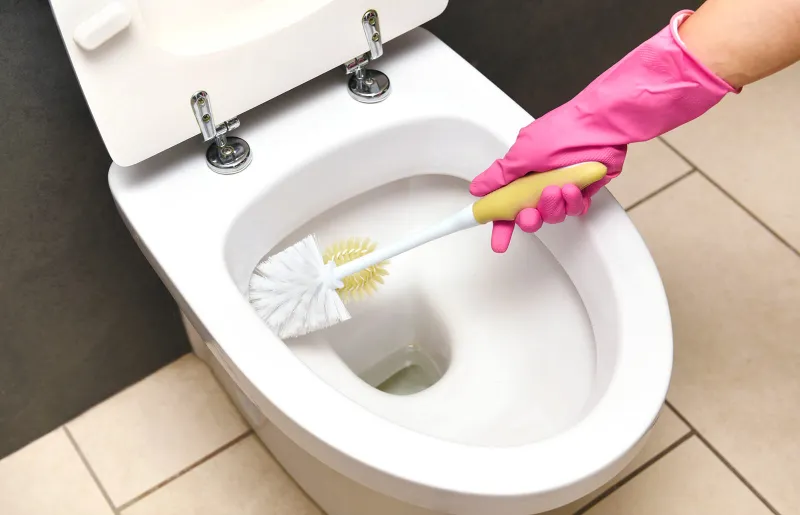 toilette reinigen mit rasierschaum hilfreiche informationen