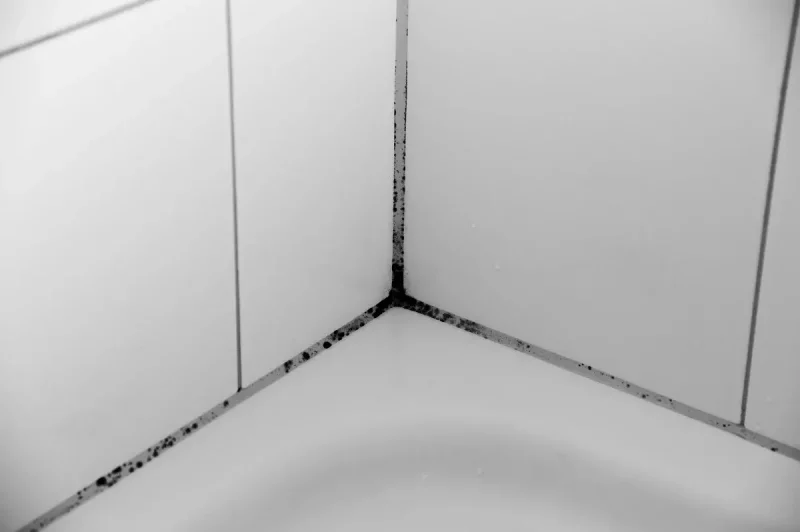 typische hausmittel gegen schimmel in der dusche