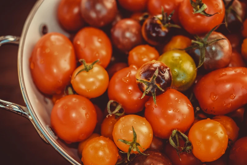 welche sorten tomaten sollten sie im winter meiden