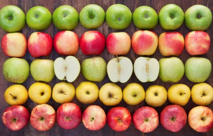 wie äpfel lagern ohne keller wertvolle tipps