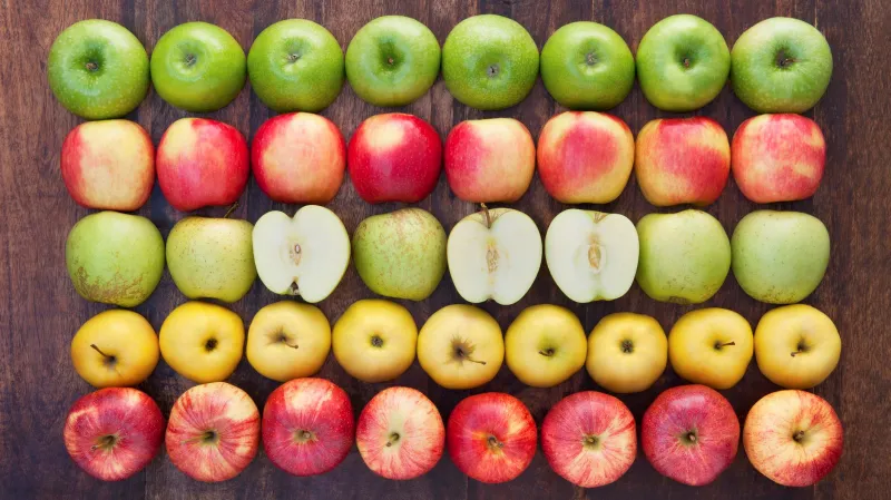 wie äpfel lagern ohne keller wertvolle tipps