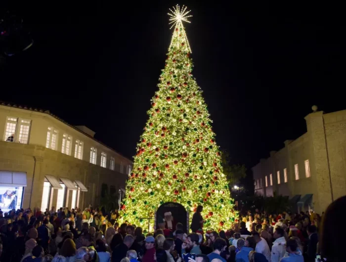 adventskalender aktivitäten weihnachtsbaum beleuchtung zeremonie besuchen