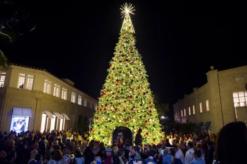 adventskalender aktivitäten weihnachtsbaum beleuchtung zeremonie besuchen