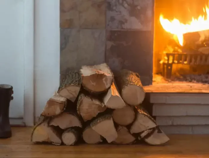 asche entsorgen wie asche entsorgen und wiederverwenden brennholz haufen vor brennendem kamin
