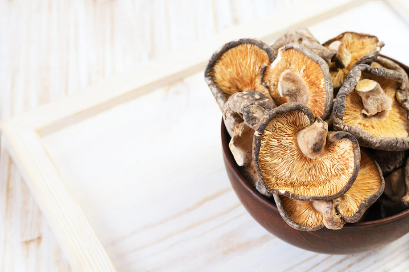 baumpilz durch trocknen konservieren pilze in schuessel
