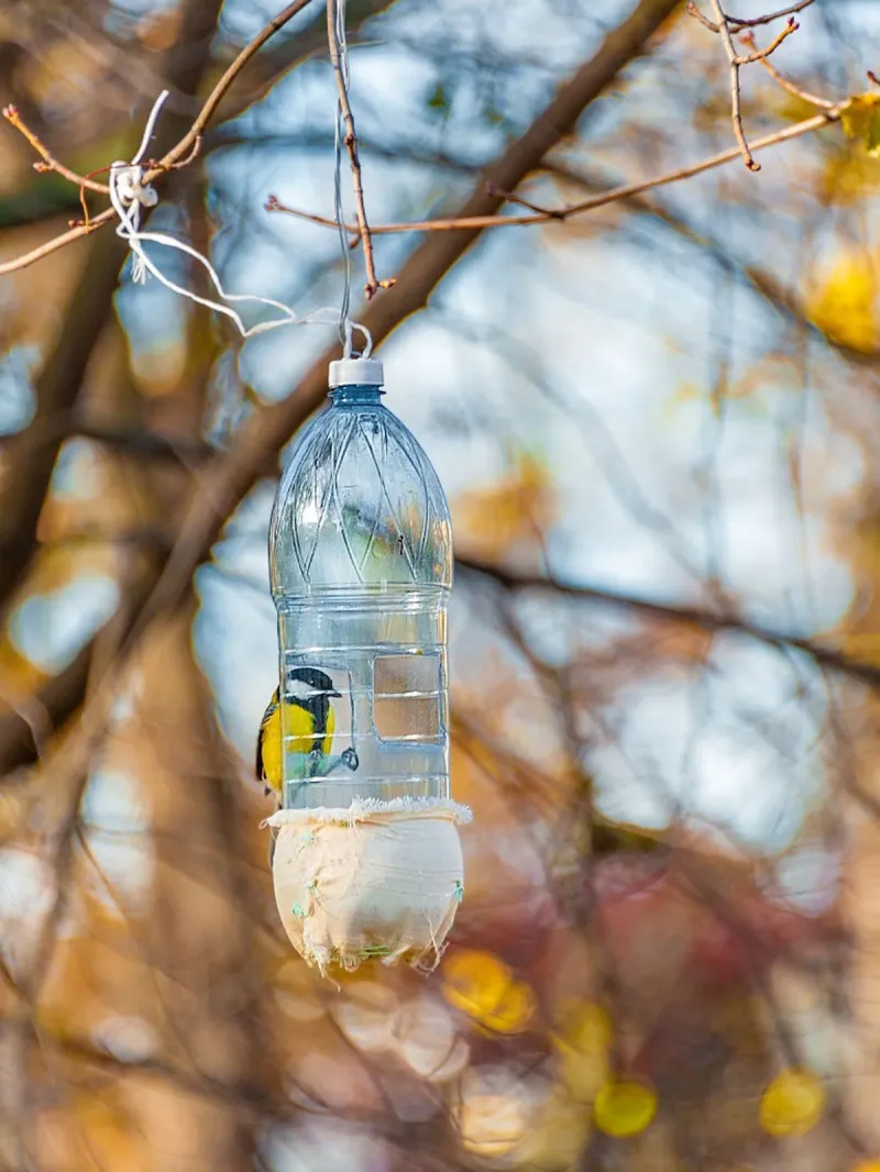diy vogelfutterhaus aus plastikflasche mit samengut füllen