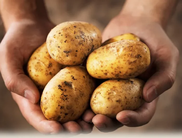 haushalt tipps und tricks putzen mit kartoffeln
