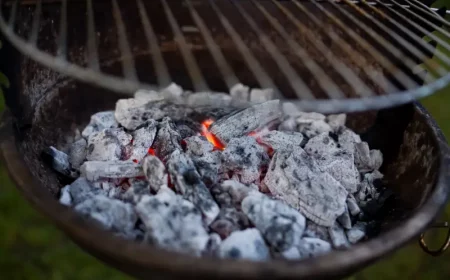 ist asche gut gegen unkraut grill holzasche glimmt