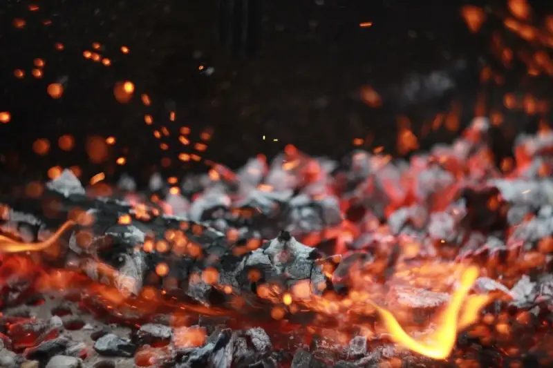 ist holzasche gut für obstbaeume asche entsorgen brennendes brennholz im kamin