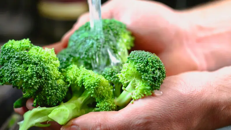 kann man brokkoli im kuehlschrank lagern brokkoli lagern frischen brokkoli roeschen waschen
