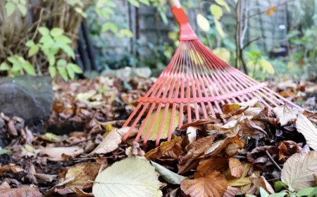 kann man laub ins hochbeet machen herbstlaub im garten sammeln mit gabel