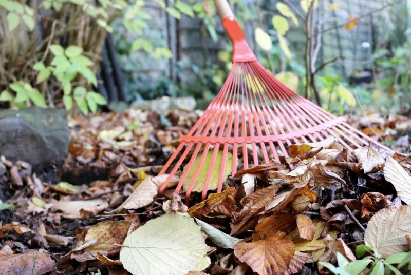 kann man laub ins hochbeet machen herbstlaub im garten sammeln mit gabel