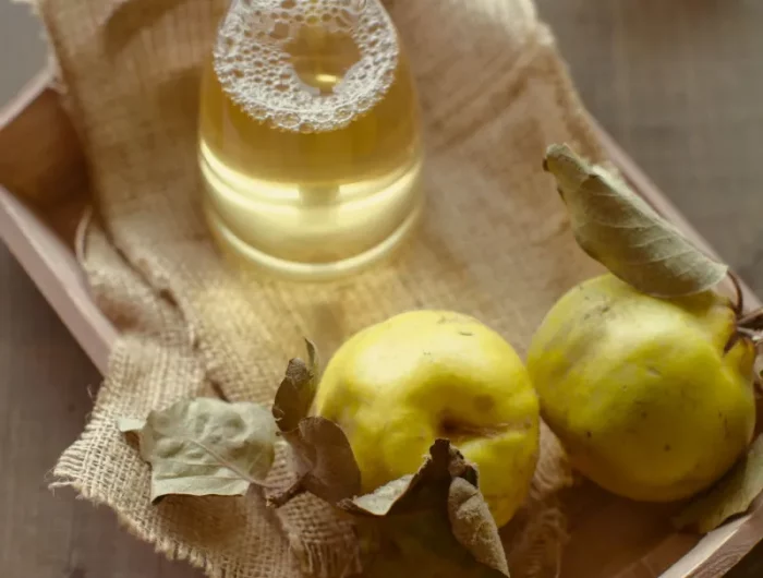 leckere rezepte mit fruechten quitten saft selber machen