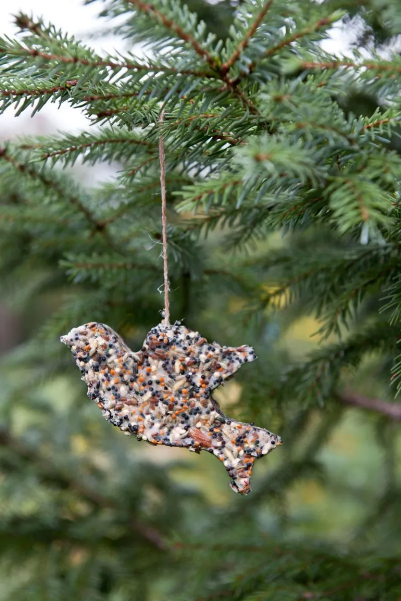 outdoor weihnachtsdeko selber machen diy ornament aus vogelfutter