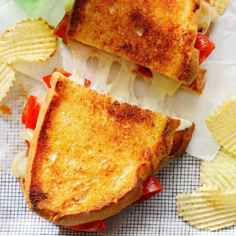 sandwich mit gegrilltem käse und ofengetrockneten tomaten chips