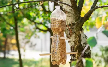vogelfutterhaus selber machen aus plastikflasche anleitung