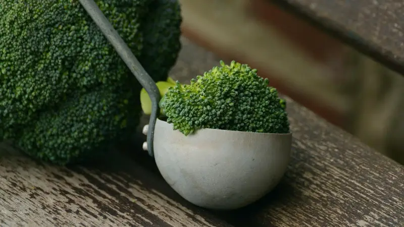 warum ist brokkoli in plastik verpackt wo brokkoli lagern frischer brokkoli stuecke in schoepfkelle