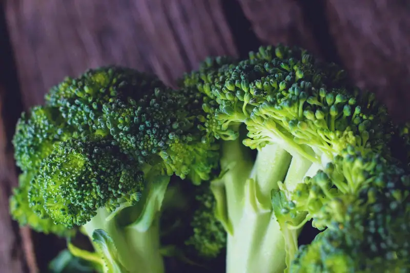 was vertraegt sich nicht mit brokkoli kann man frischen brokkoli einfrieren frischer brokkoli kopf