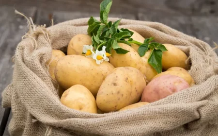 wie und was kann man mit kartoffeln reinigen