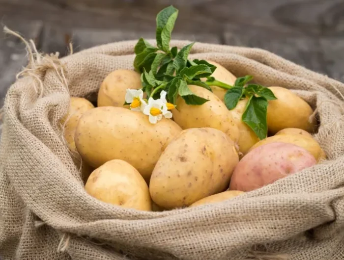 wie und was kann man mit kartoffeln reinigen