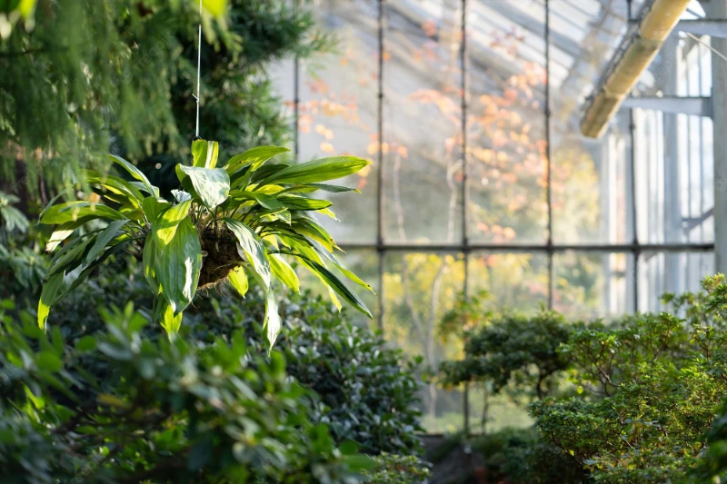 wintergarten mit pflanzen