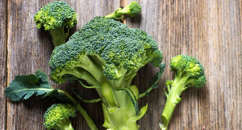 wo brokkoli lagern brokkoli lagern wie lange frischer brokkoli auf dem tisch