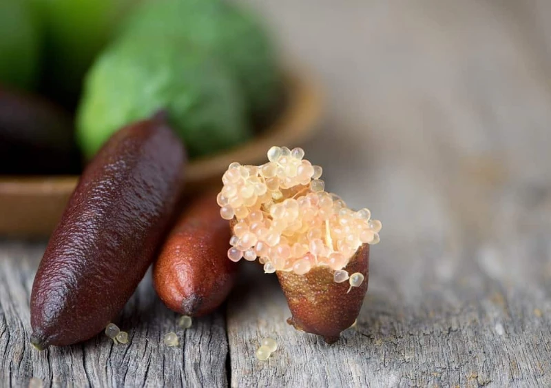 zitrusfrucht fingerkalk rosa