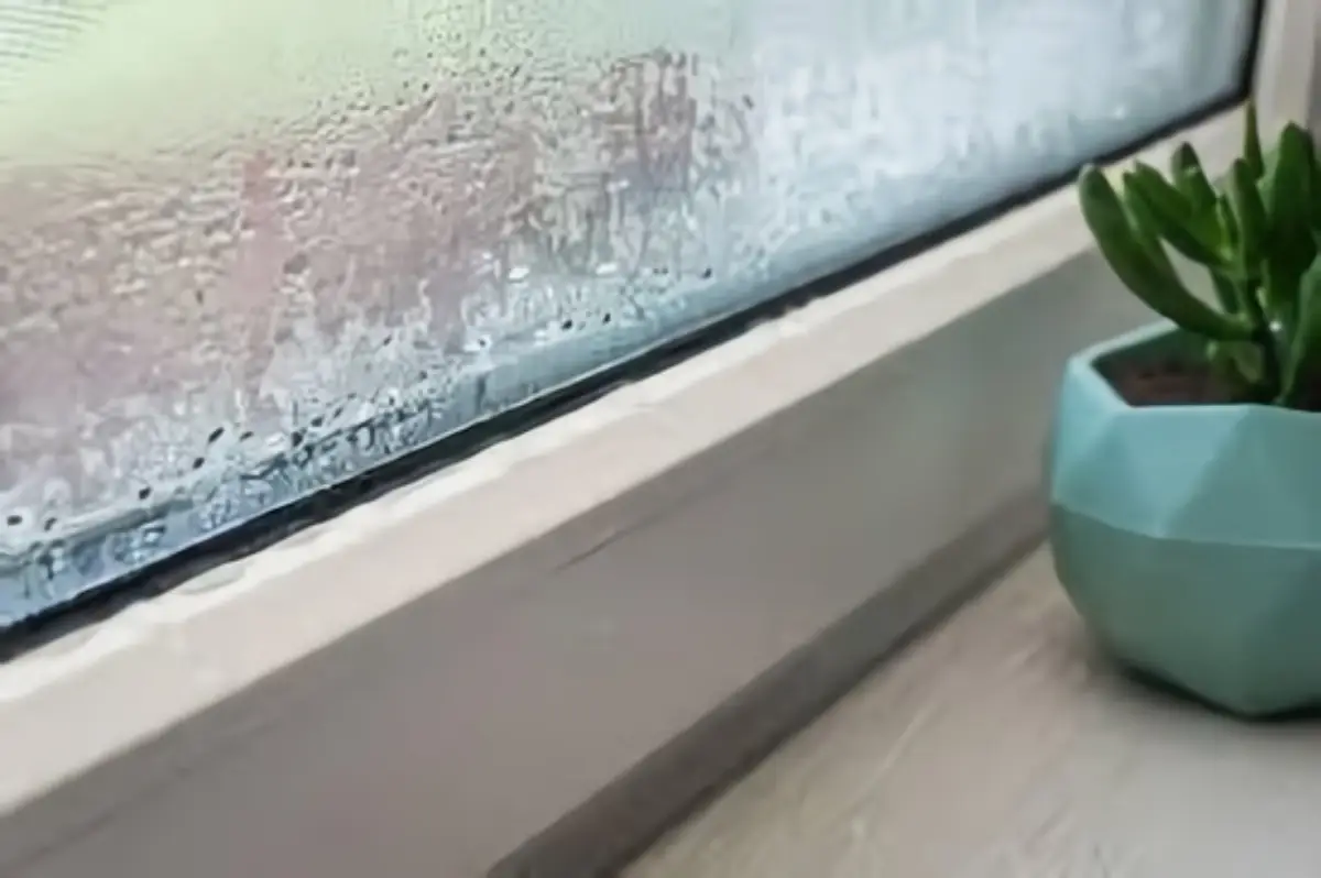 Kondenswasser am Fenster verhindern: Schluss mit beschlagenen