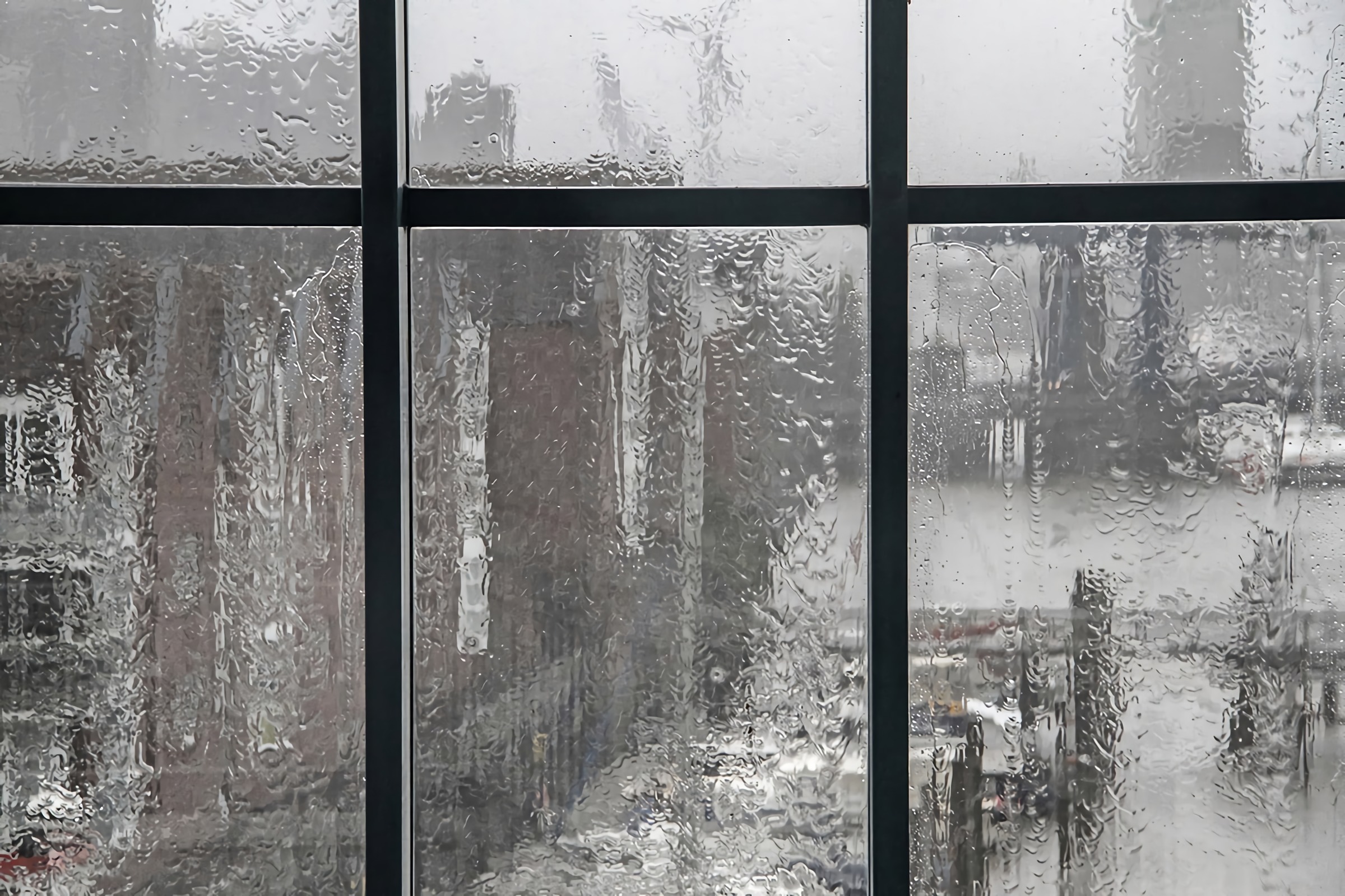 frost am fenster konsensierung