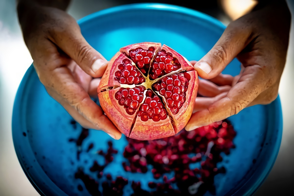 granatapfel essen antioxidation