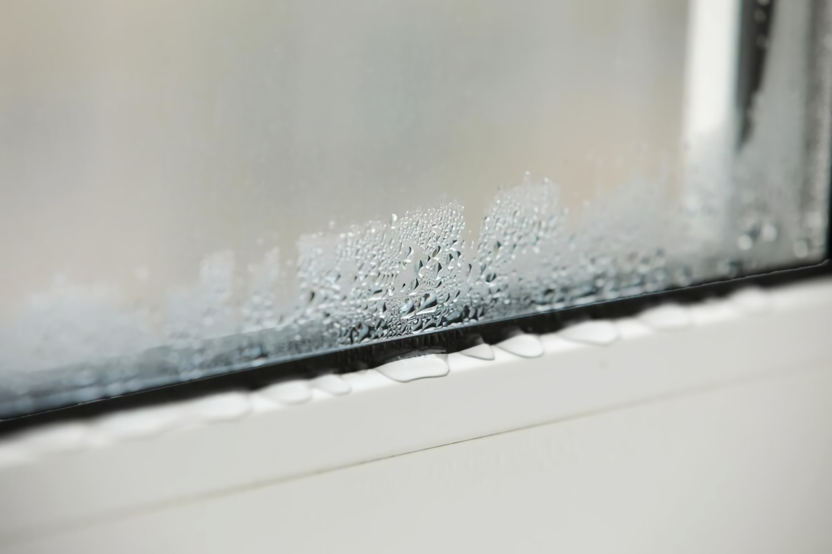 Expertentipps gegen Kondenswasser am Fenster und zur Reduzierung von  Feuchtigkeit in den Innenräumen