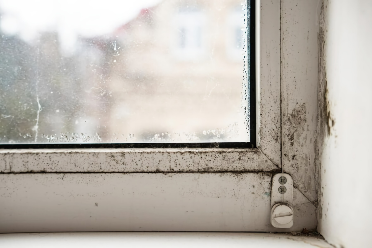Kondenswasser an den Fenstern – das hilft!: Faßbender GmbH