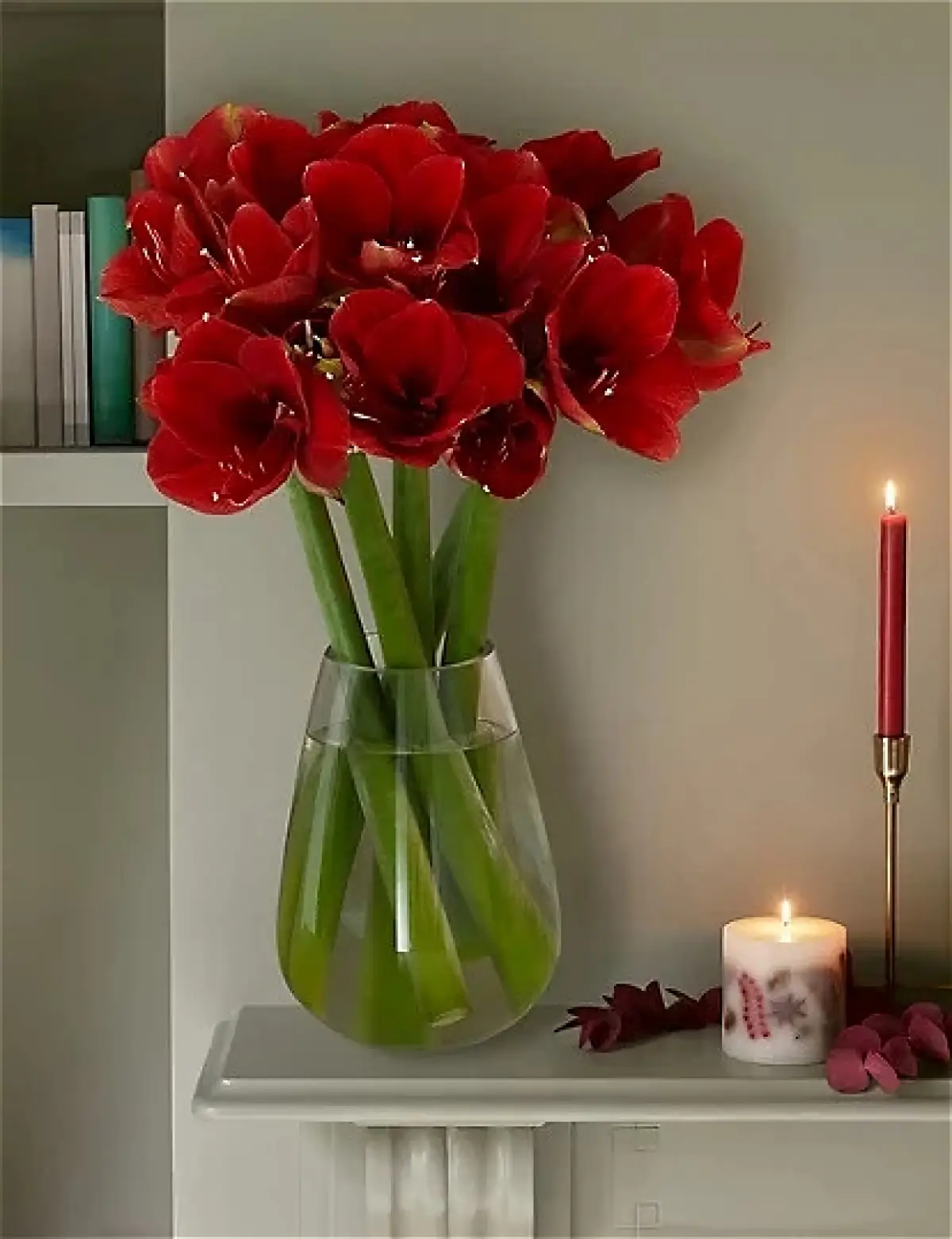 warum schenkt man zu weihnachten eine amaryllis grosse vase mit grossem strauss aus roten amaryllis blumen