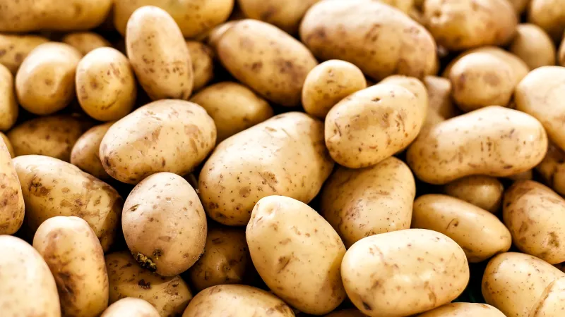 was sollte man nicht im kühlschrank aufbewahren kartoffeln