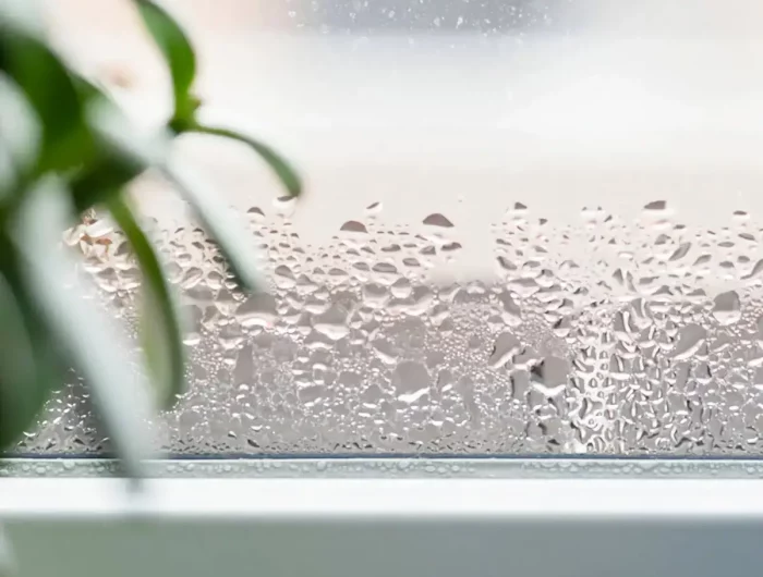 was tun gegen beschlagene scheiben im winter hausmittel gegen beschlagene fenster innen schwitzendes fenster von nah pflanzentopf