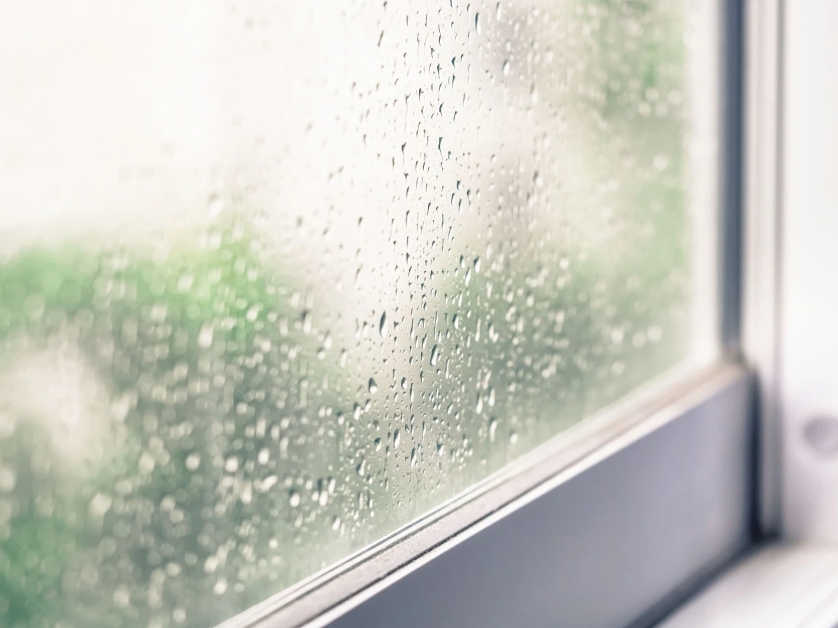 wassertropfen am fenster